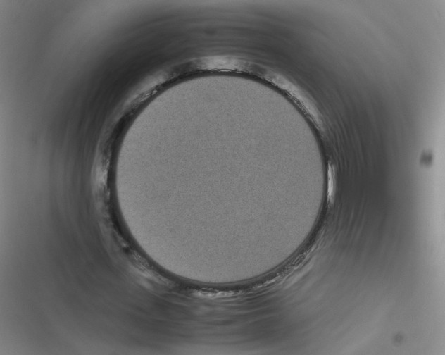 X0000116840723201001081458