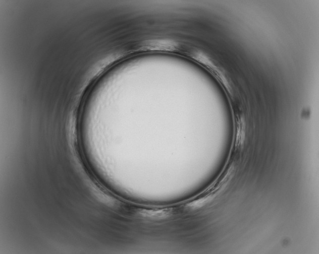 X0000116840725201001081458