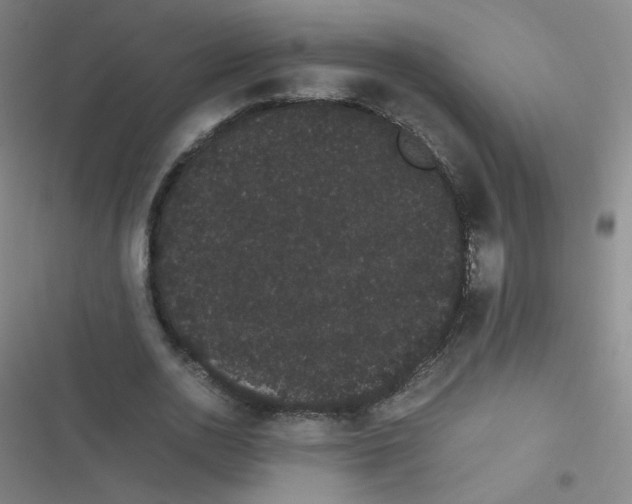 X0000116840726201001081458