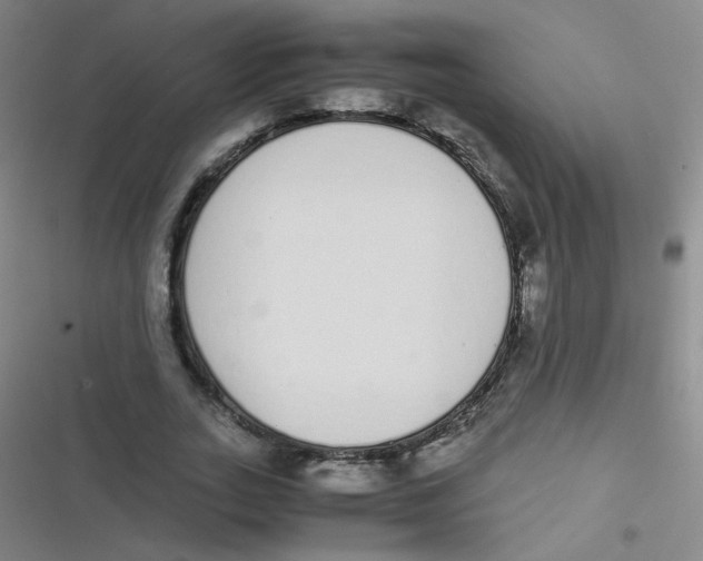 X0000116840727201001081458