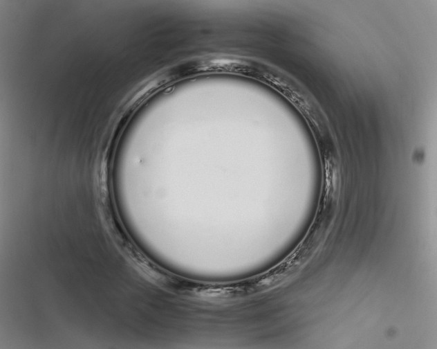 X0000116840729201001081458