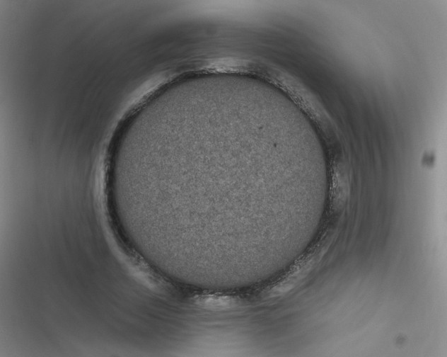 X0000116840730201001081458