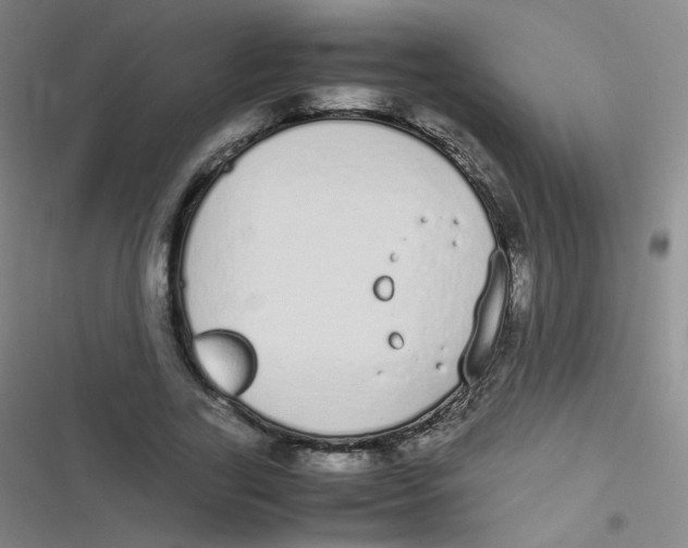 X0000116840731201001081458