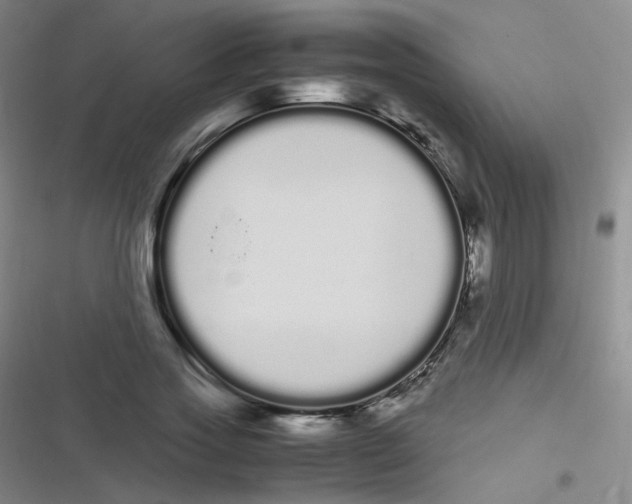 X0000116840733201001081458