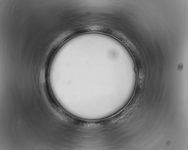 X0000116840734201001081458