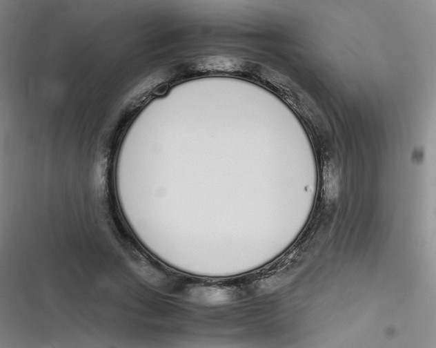 X0000116840735201001081458