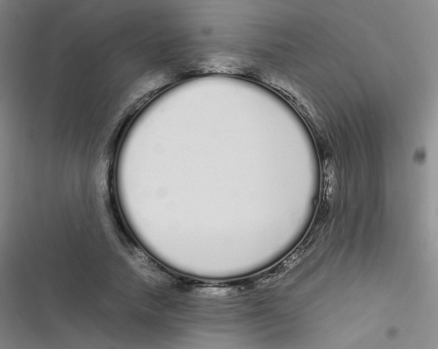 X0000116840738201001081458