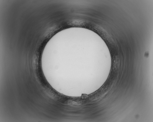 X0000116840739201001081458