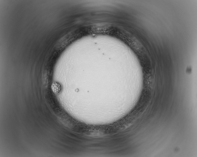 X0000116840741201001081458