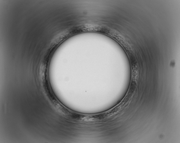 X0000116840742201001081458