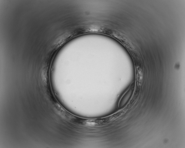 X0000116840746201001081458