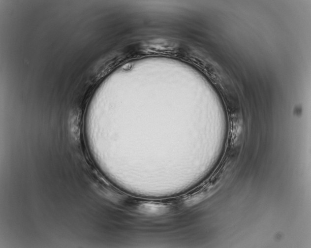 X0000116840749201001081458