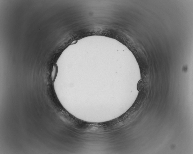 X0000116840750201001081458