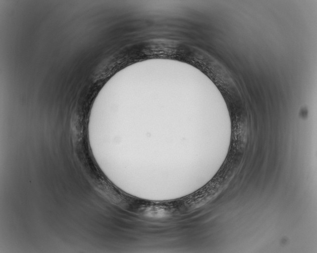 X0000116840751201001081458