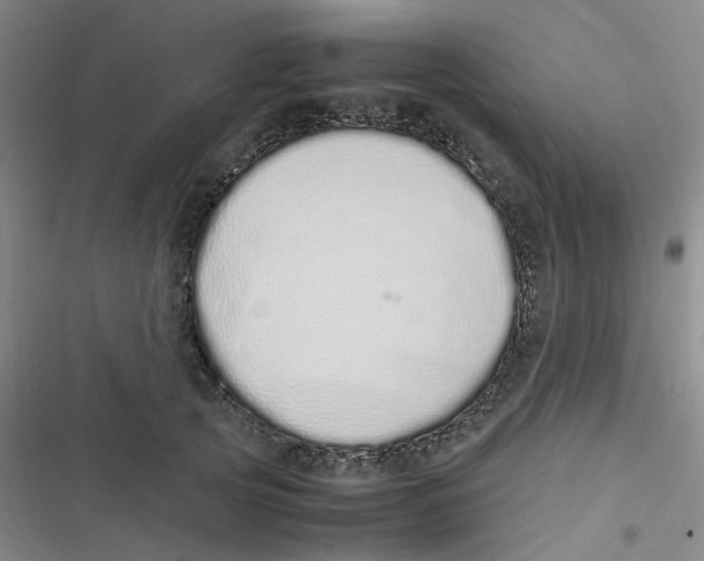 X0000116840753201001081458