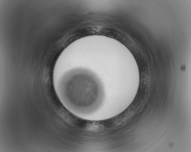 X0000116840754201001081458