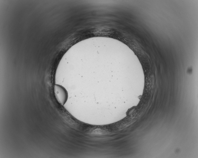 X0000116840755201001081458