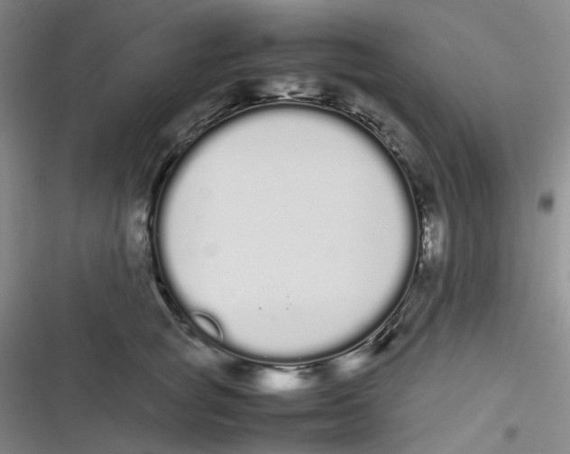 X0000116840757201001081458