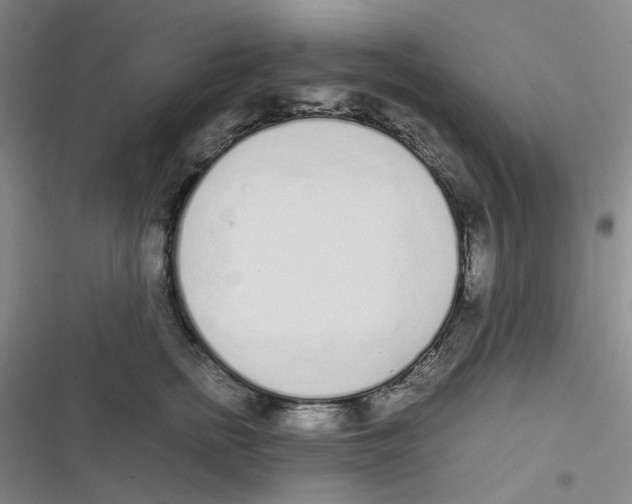 X0000116840758201001081458