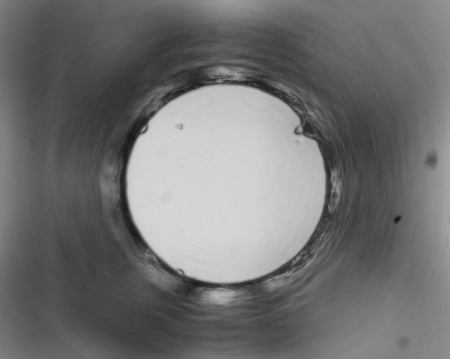 X0000116840759201001081458