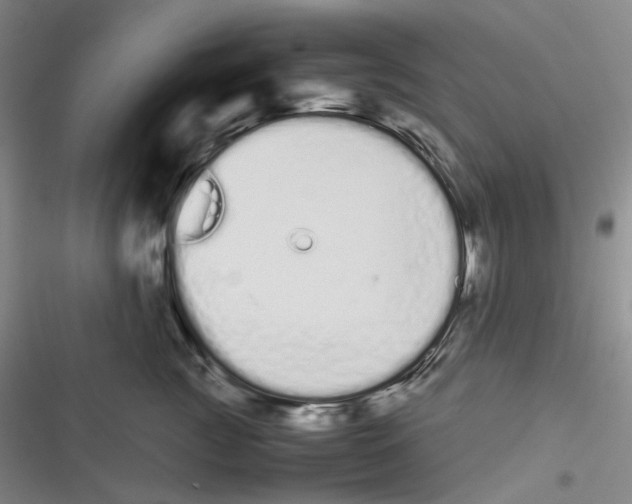 X0000116840761201001081458