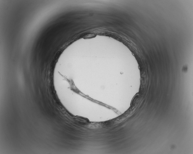 X0000116840762201001081458