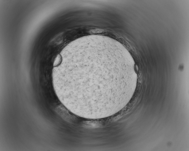 X0000116840763201001081458