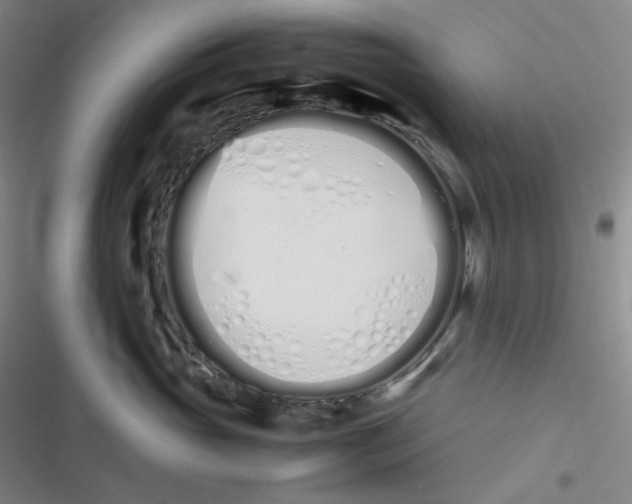 X0000116840765201001081458