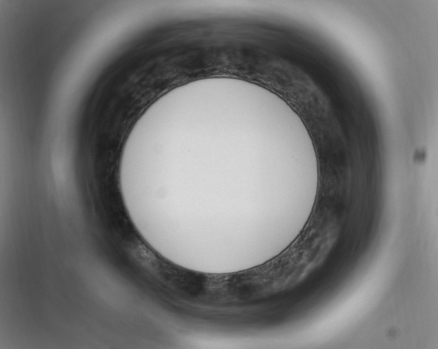 X0000116840766201001081458