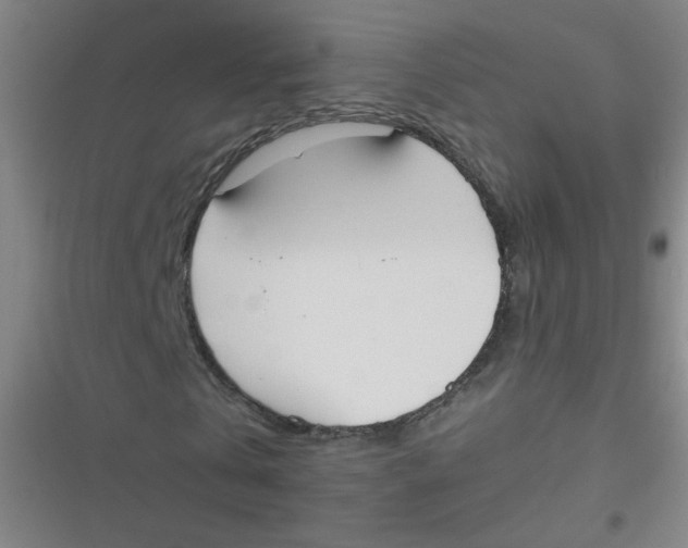 X0000116840769201001081458