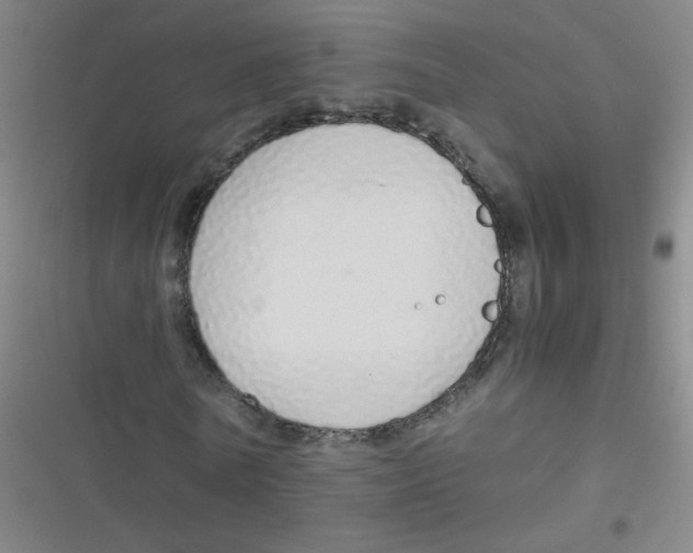 X0000116840770201001081458