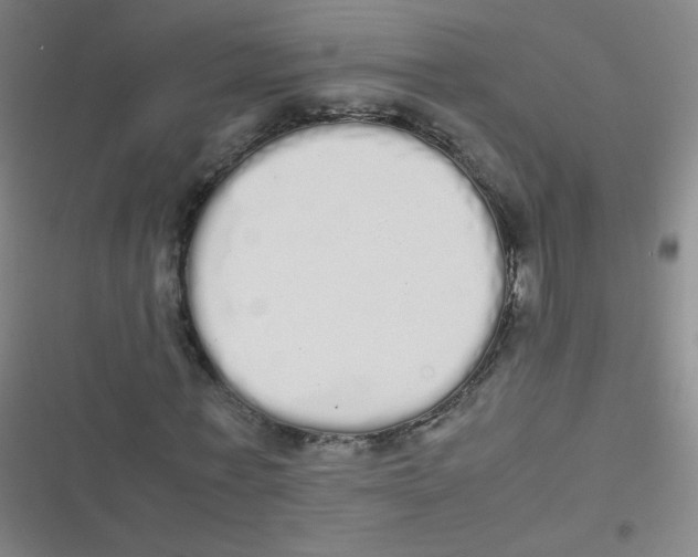 X0000116840771201001081458