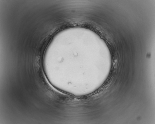 X0000116840772201001081458