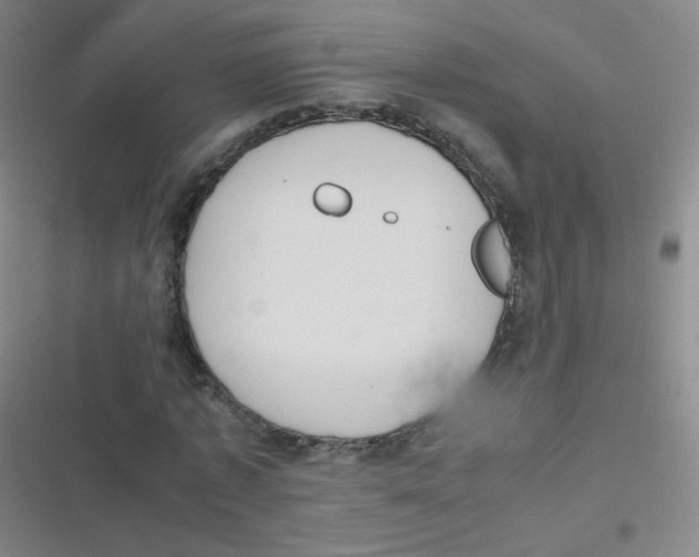 X0000116840773201001081458