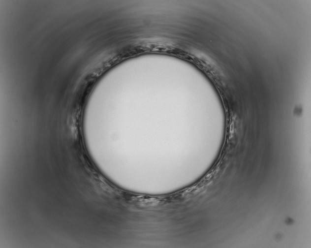 X0000116840774201001081458