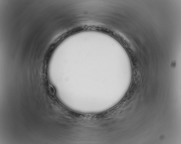 X0000116840775201001081458