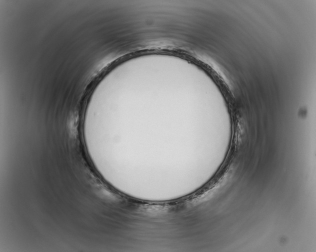 X0000116840778201001081458