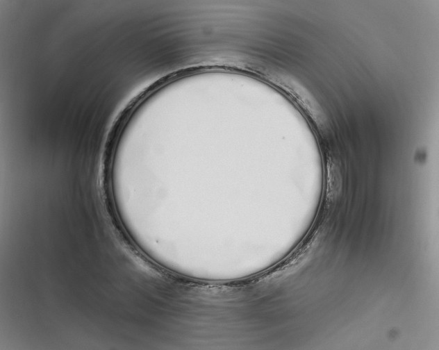 X0000116840780201001081458