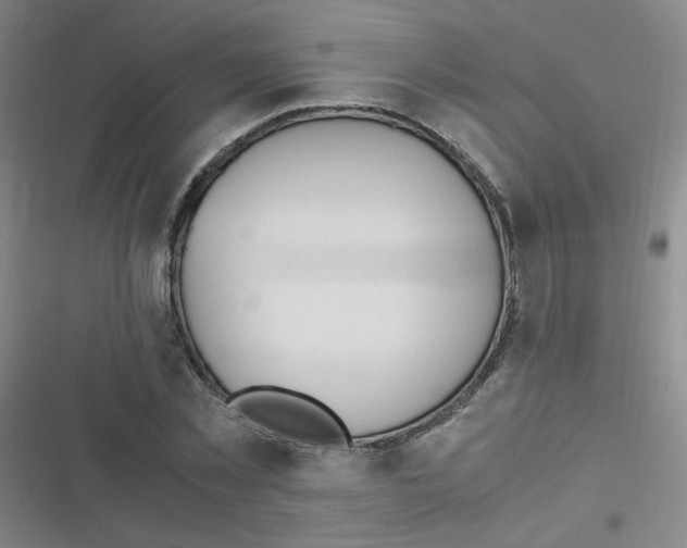 X0000116840781201001081458