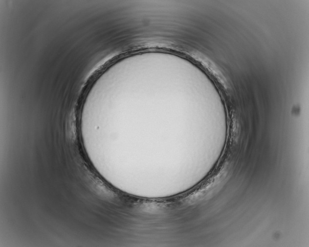 X0000116840782201001081458