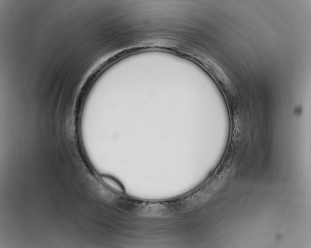 X0000116840784201001081458