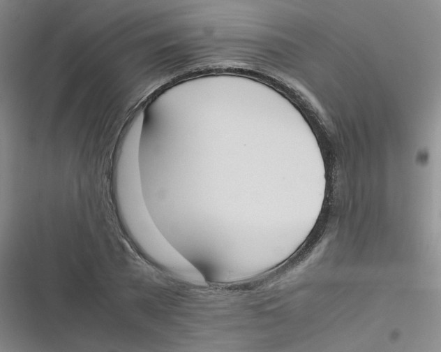 X0000116840785201001081458