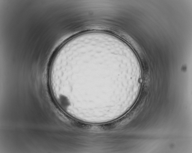 X0000116840787201001081457