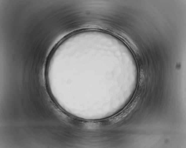 X0000116840788201001081457