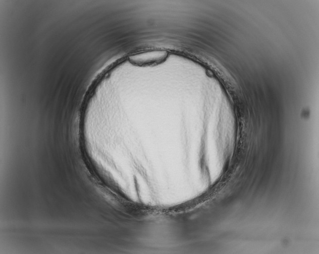 X0000116840790201001081457