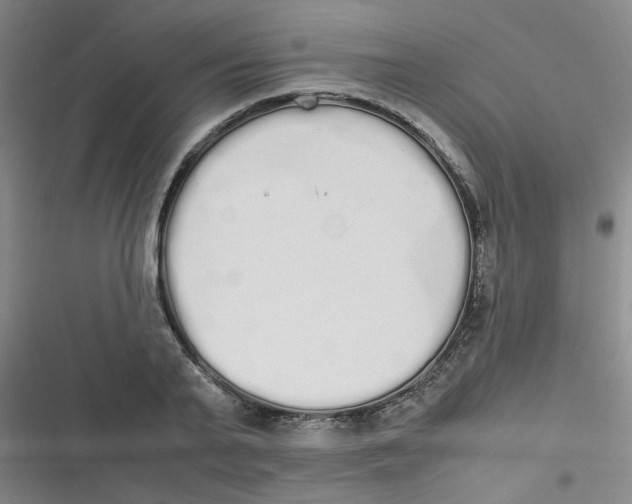 X0000116840791201001081457