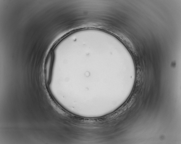 X0000116840792201001081457