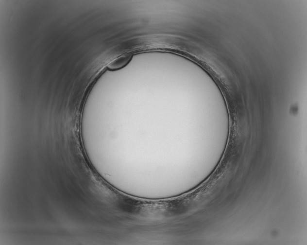 X0000116840793201001081457