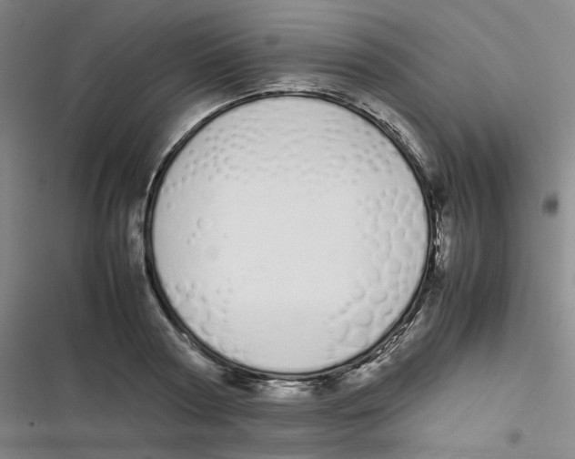 X0000116840794201001081457