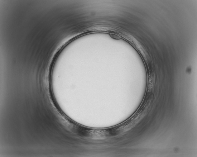 X0000116840795201001081457